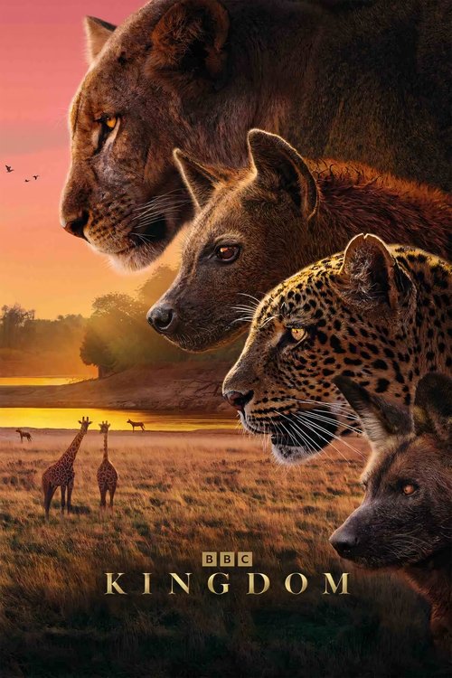 Kingdom - Saison 1