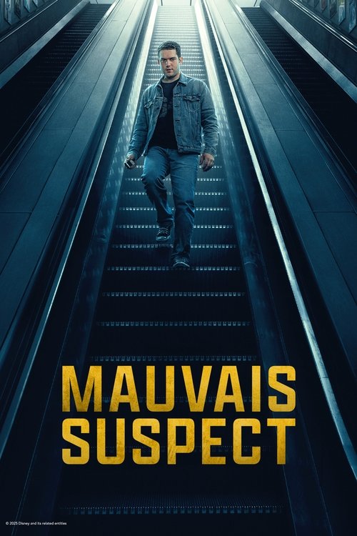 Mauvais suspect - Saison 1