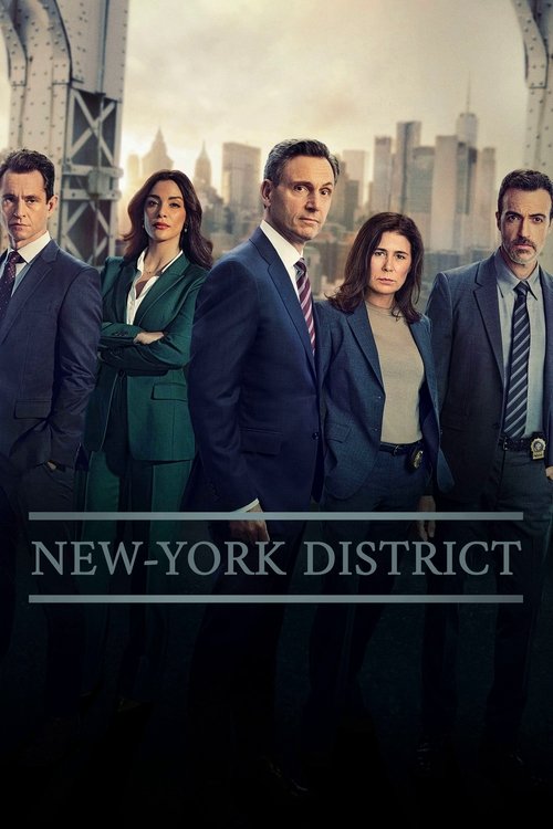 New York, police judiciaire - Saison 25