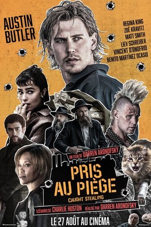 Pris au piège - Caught Stealing
