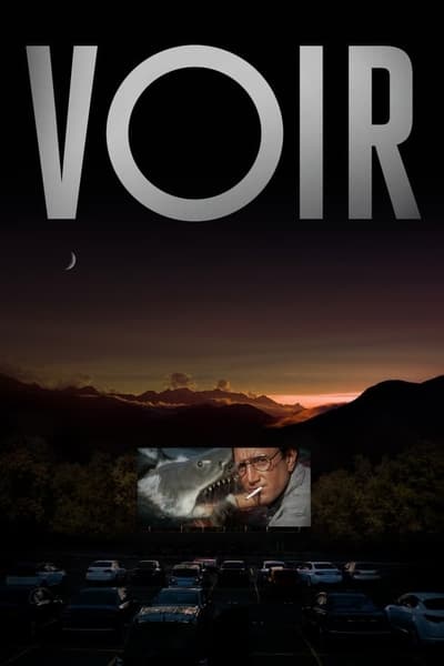 Voir - Saison 1